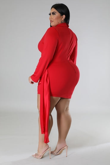 The Arianna Plus Size Dress